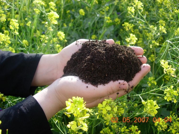 حل بحران مدیریت پسماند در ایران ۱۰