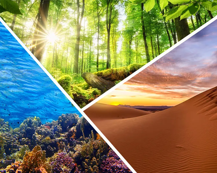 پایداری ایرانی؛ ضرورتی فوری برای نجات آینده