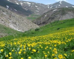 در هوای ایرانی بودن